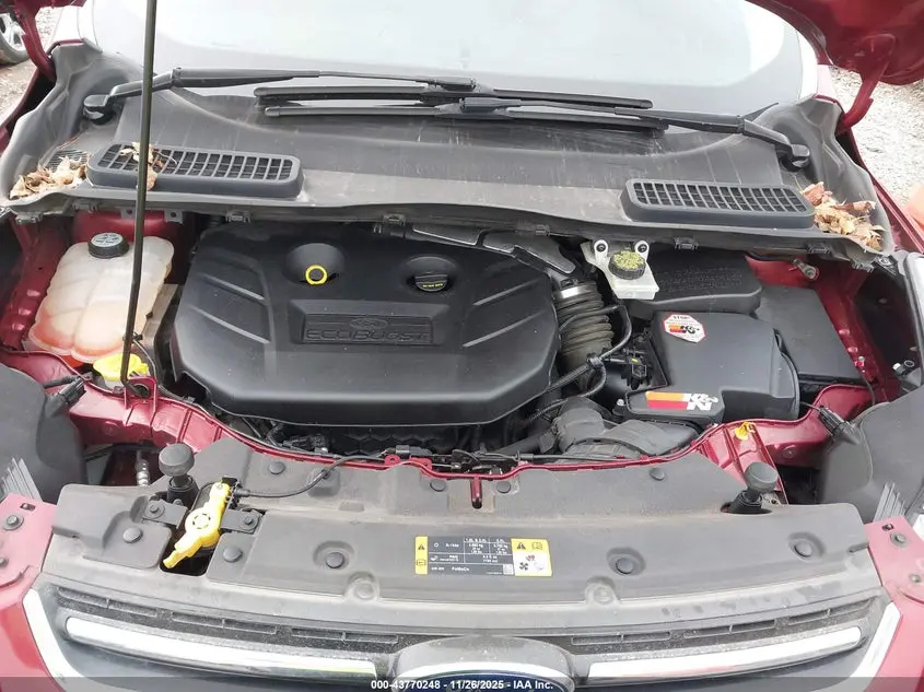 2013 FORD ESCAPE SEL