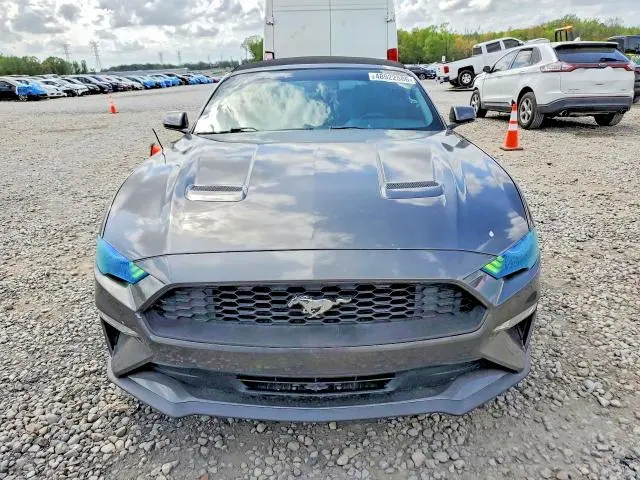 2019 FORD MUSTANG   