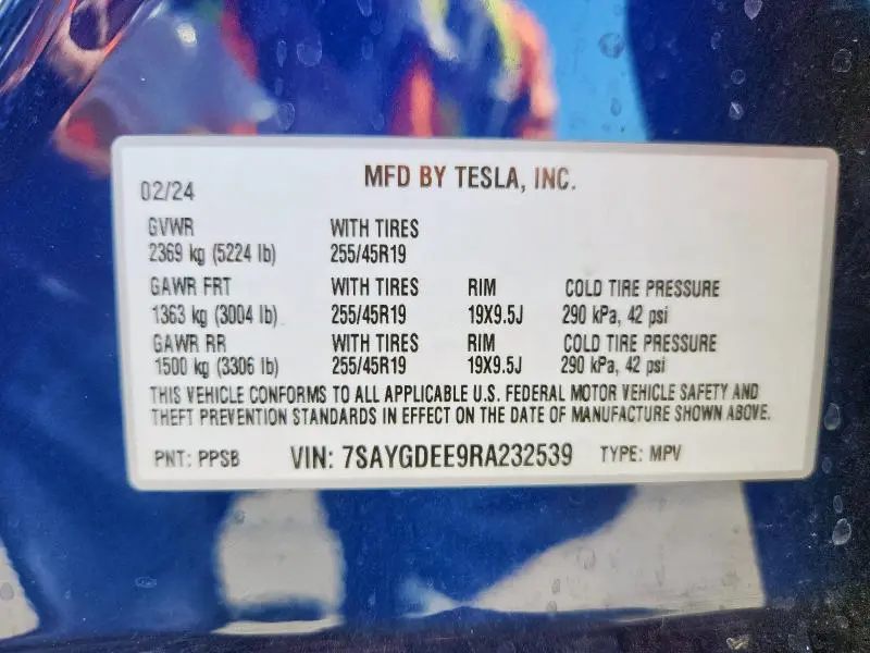 2024 TESLA MODEL Y   