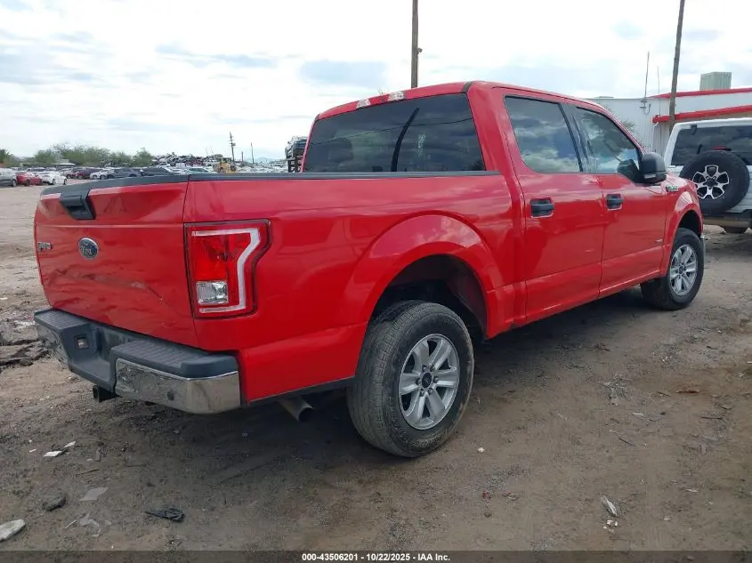 2015 FORD F-150 XLT