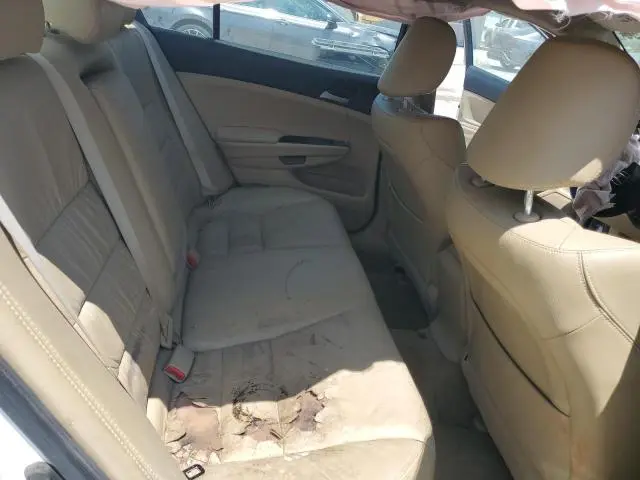 2011 HONDA ACCORD SE  