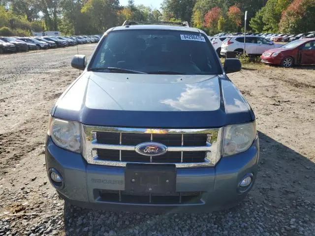 2011 FORD ESCAPE XLT  
