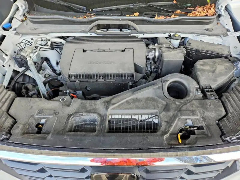 2025 HONDA PILOT EXL  