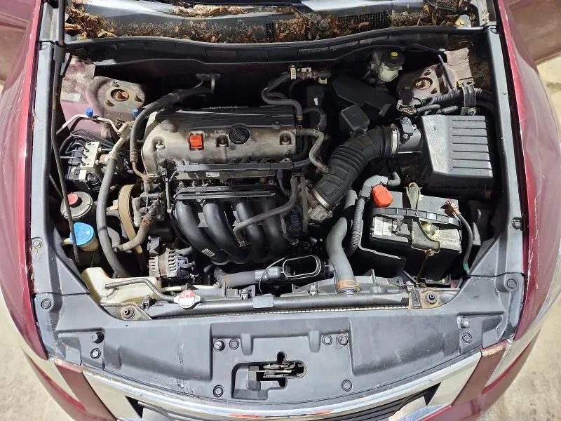 2010 HONDA ACCORD LXP  