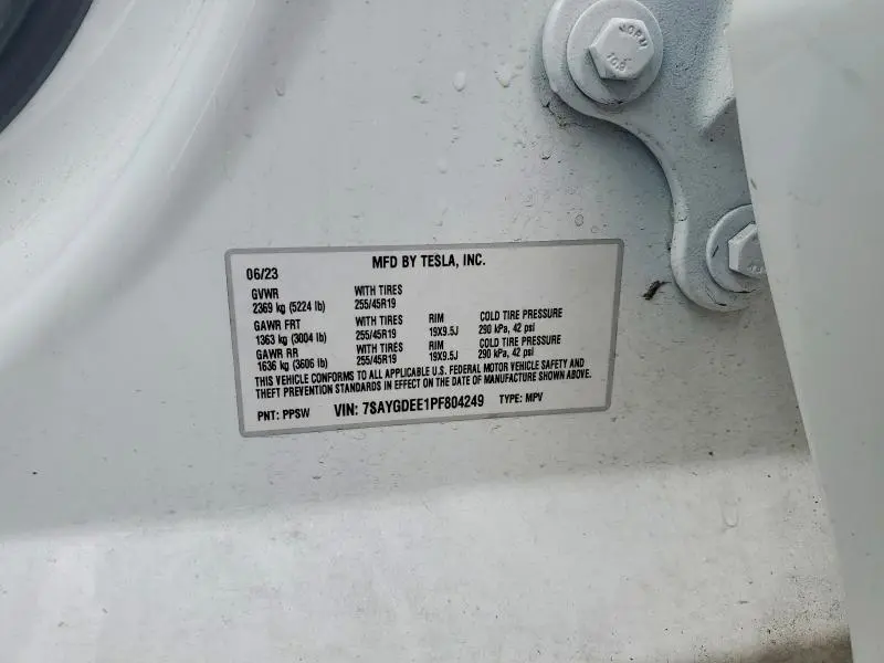 2023 TESLA MODEL Y   