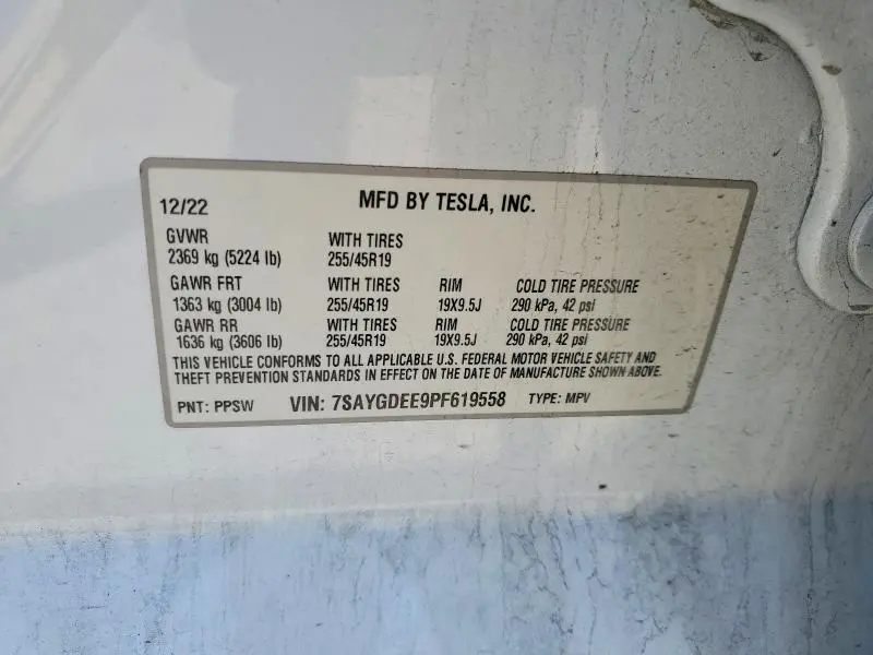 2023 TESLA MODEL Y   