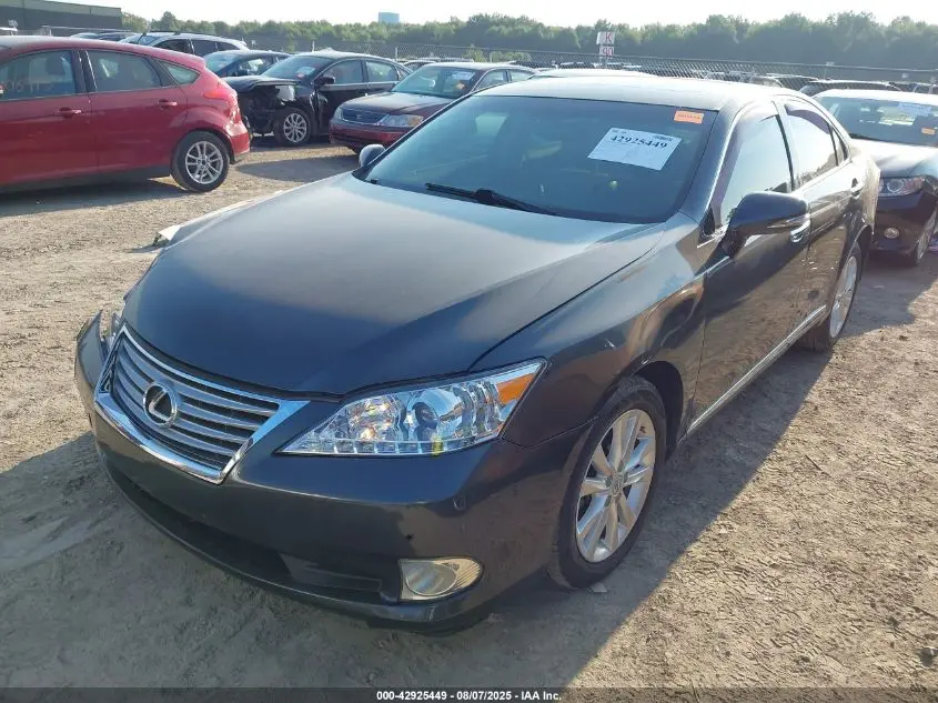 2010 LEXUS ES 350  