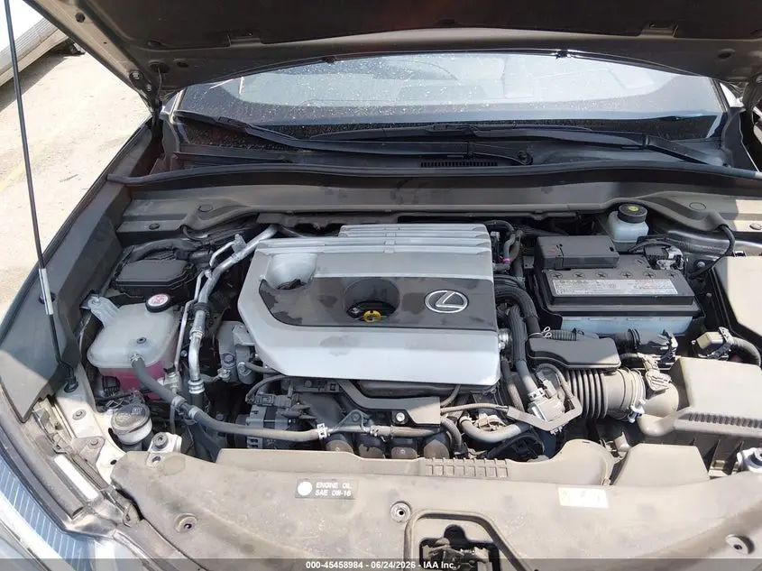 2019 LEXUS UX 200  