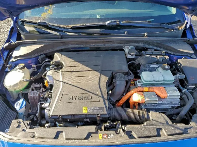 2019 HYUNDAI IONIQ BLUE  