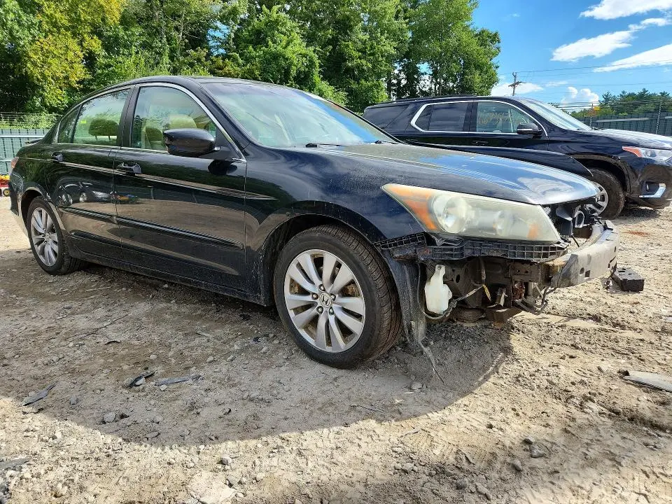 2011 HONDA ACCORD EXL  