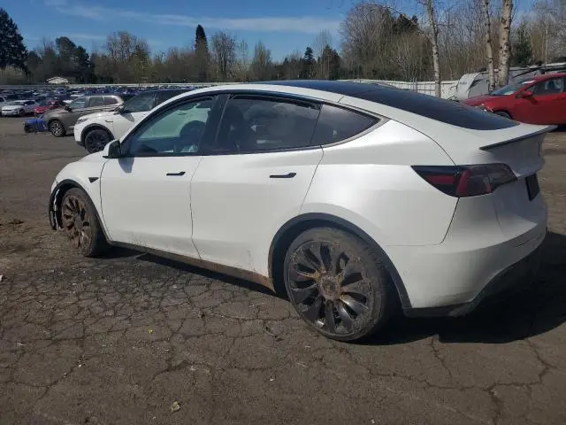 2022 TESLA MODEL Y 