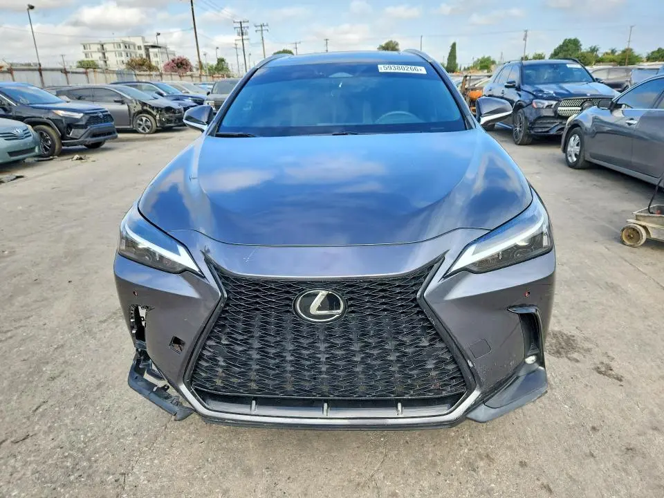 2024 LEXUS NX 350 BASE  