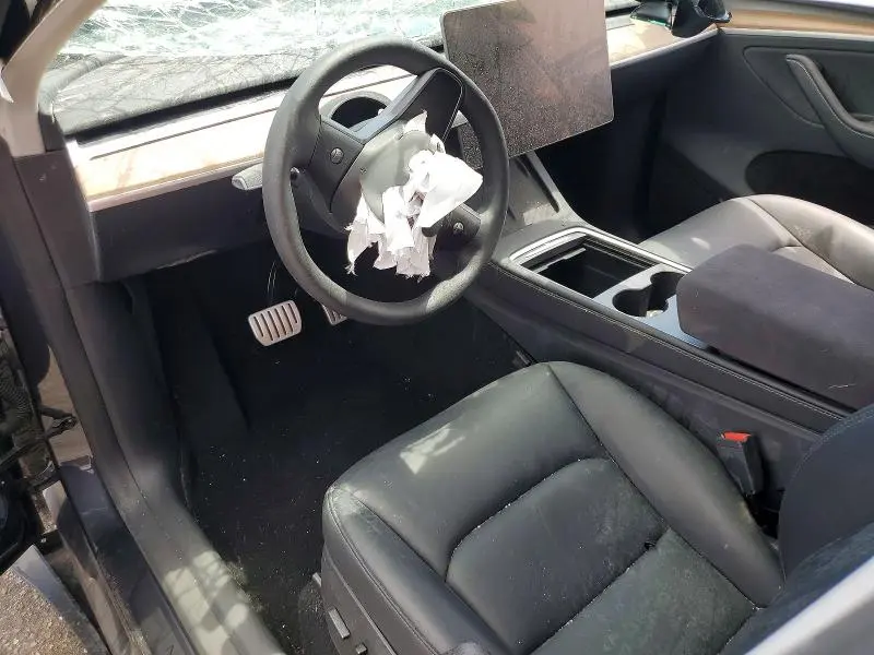 2025 TESLA MODEL Y   