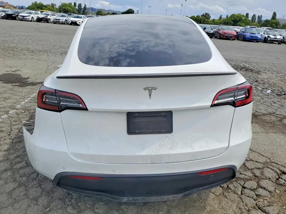 2021 TESLA MODEL Y   