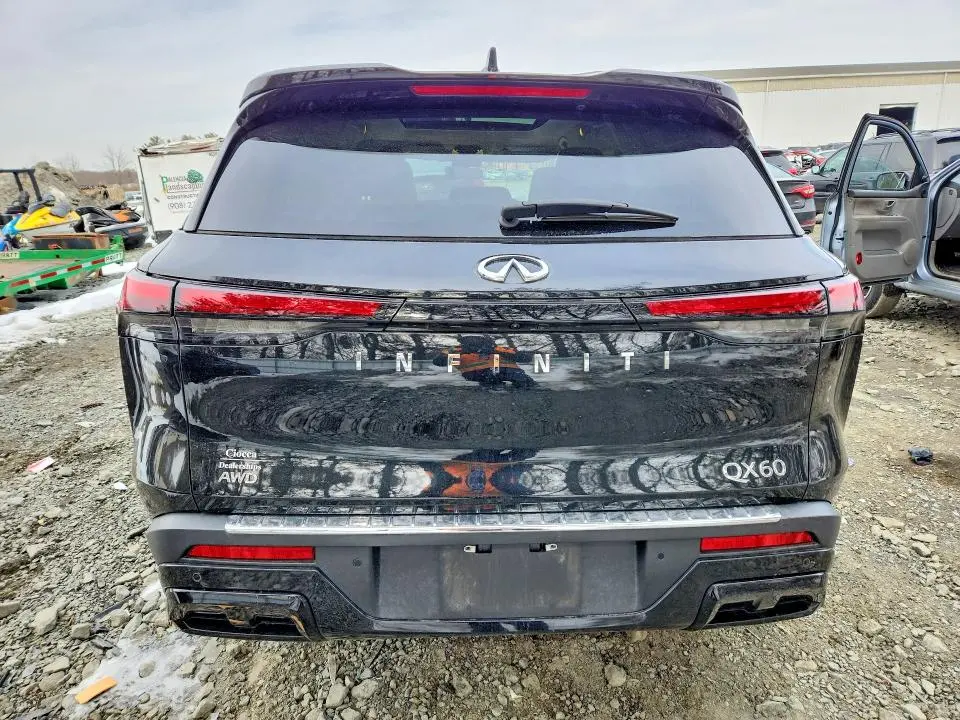 2024 INFINITI QX60 LUXE  