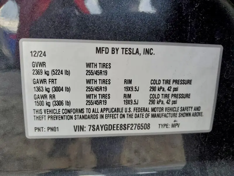 2025 TESLA MODEL Y   