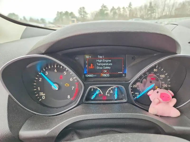 2019 FORD ESCAPE SEL  