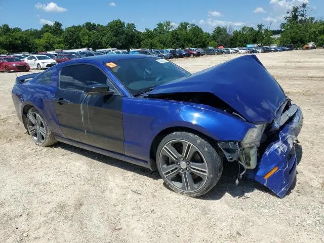 2013 FORD MUSTANG   