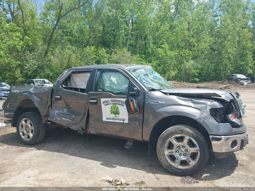 2014 FORD F-150 XLT