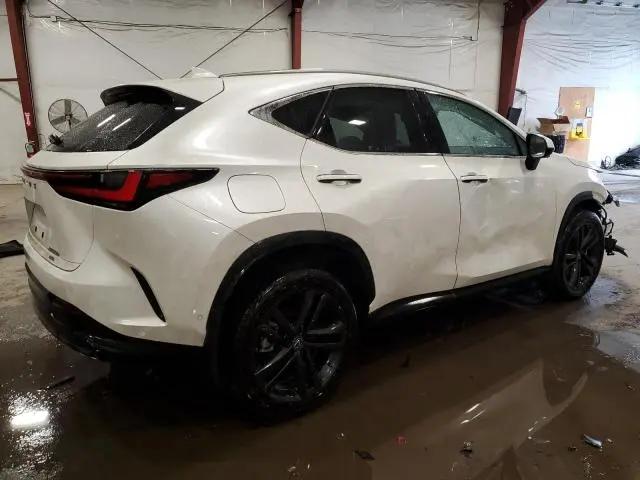 2025 LEXUS NX 450H LUXURY  