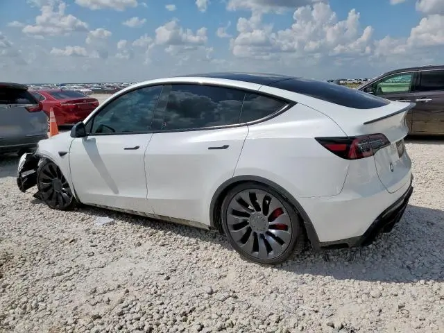 2024 TESLA MODEL Y   