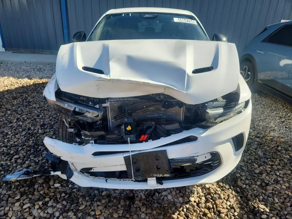 2024 DODGE HORNET R  