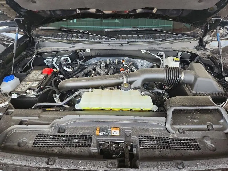 2026 FORD EXPEDITION TREMOR  