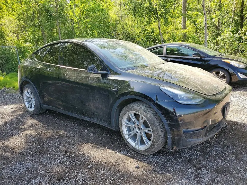 2022 TESLA MODEL Y   