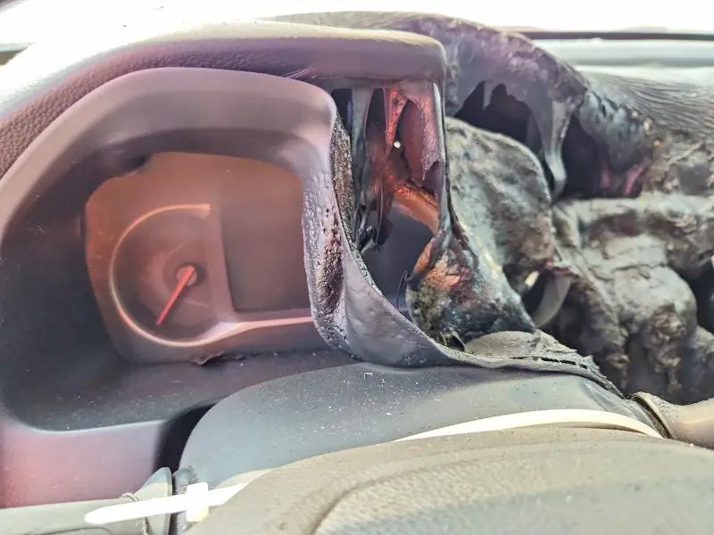 2019 HONDA PILOT EXL  
