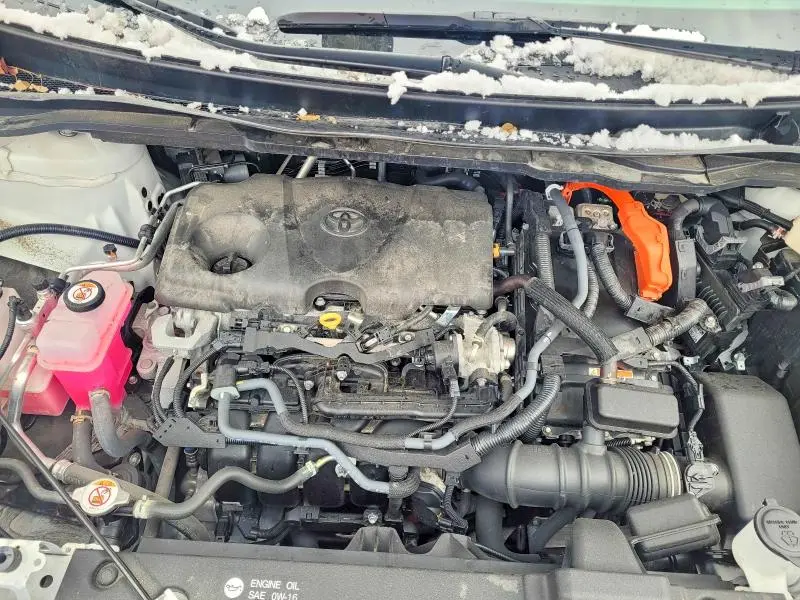 2024 TOYOTA SIENNA LE  