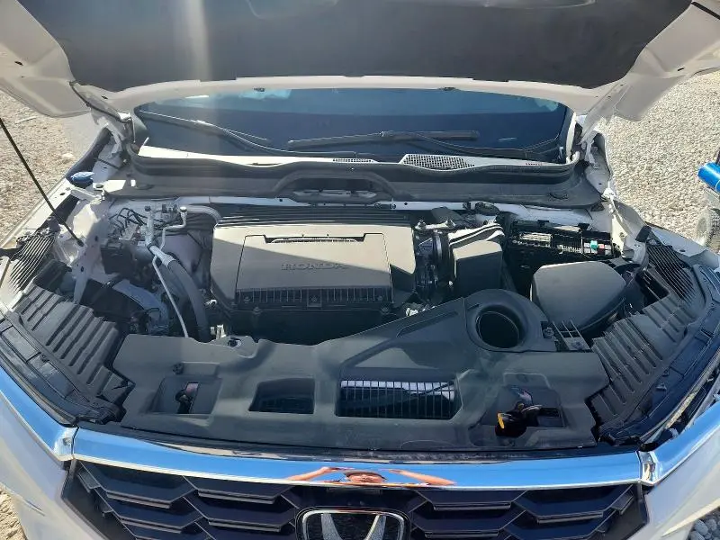 2025 HONDA PILOT EXL  
