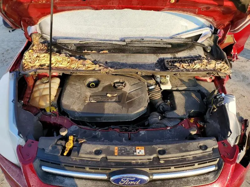 2014 FORD ESCAPE SE  