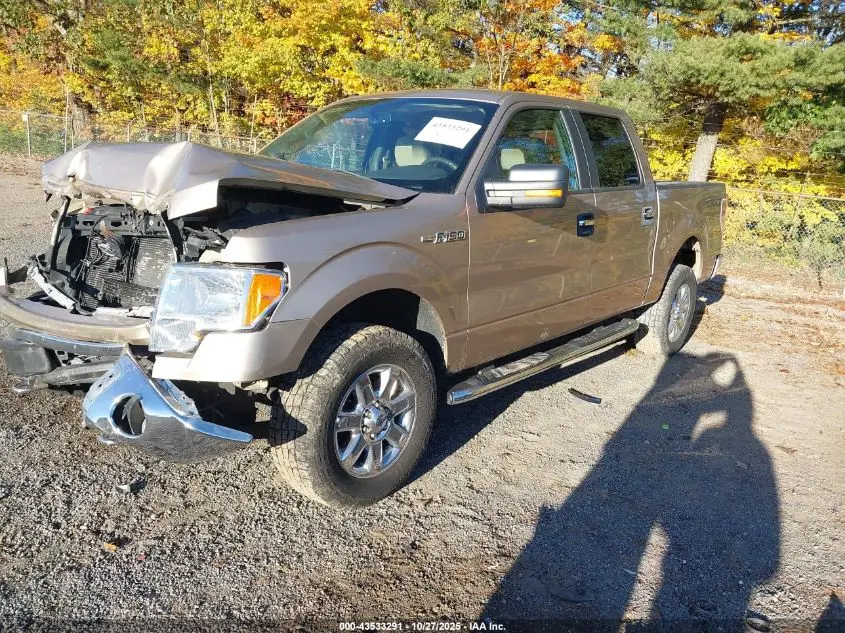 2013 FORD F-150 XLT