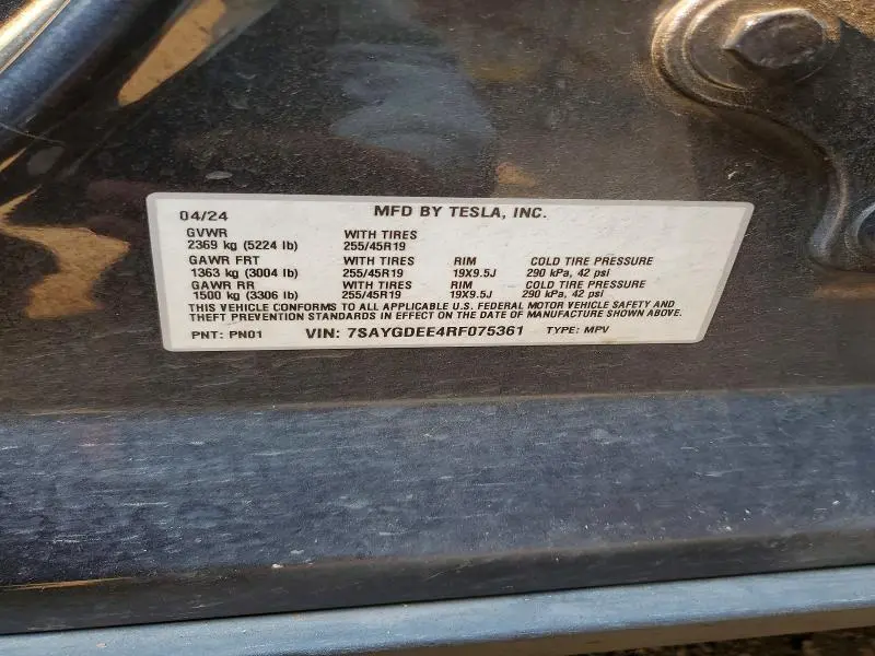 2024 TESLA MODEL Y   