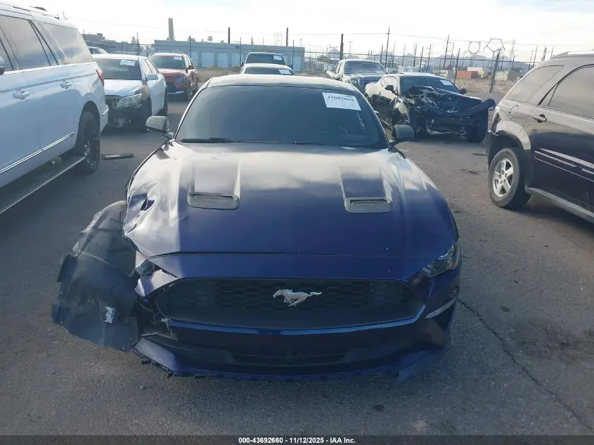 2019 FORD MUSTANG ECOBOOST