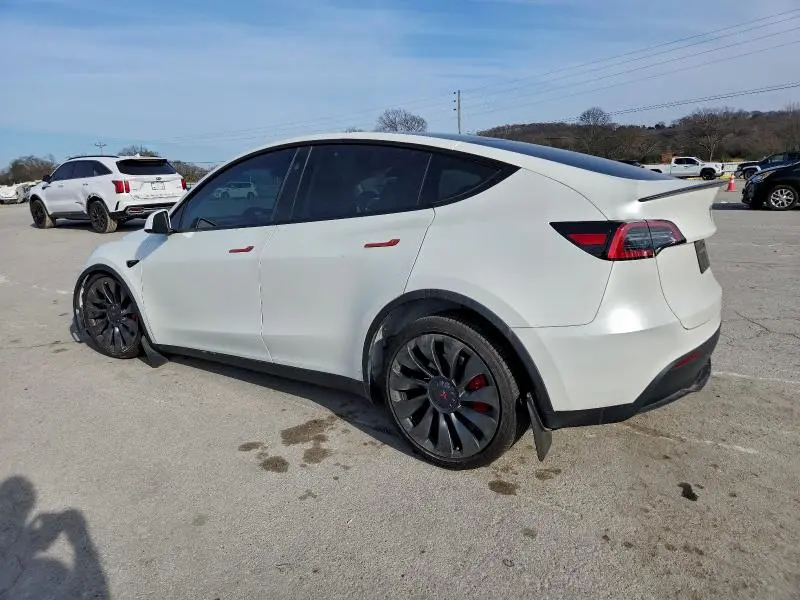 2023 TESLA MODEL Y   