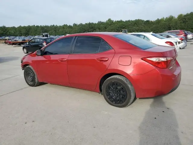 2019 TOYOTA COROLLA L