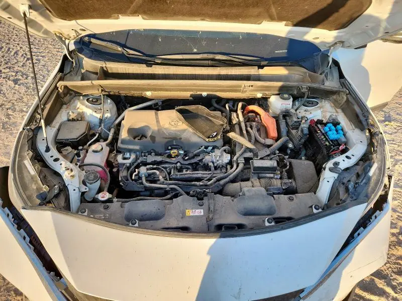 2024 TOYOTA VENZA LE  