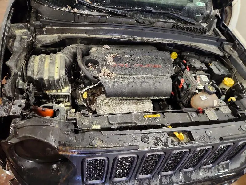 2018 JEEP RENEGADE TRAILHAWK  