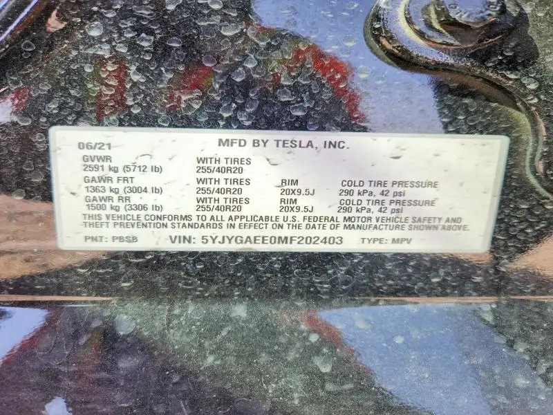 2021 TESLA MODEL Y   
