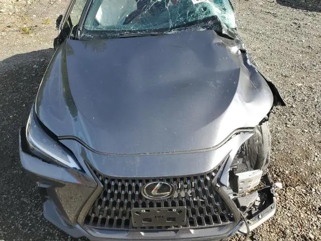 2025 LEXUS NX 350H BASE  