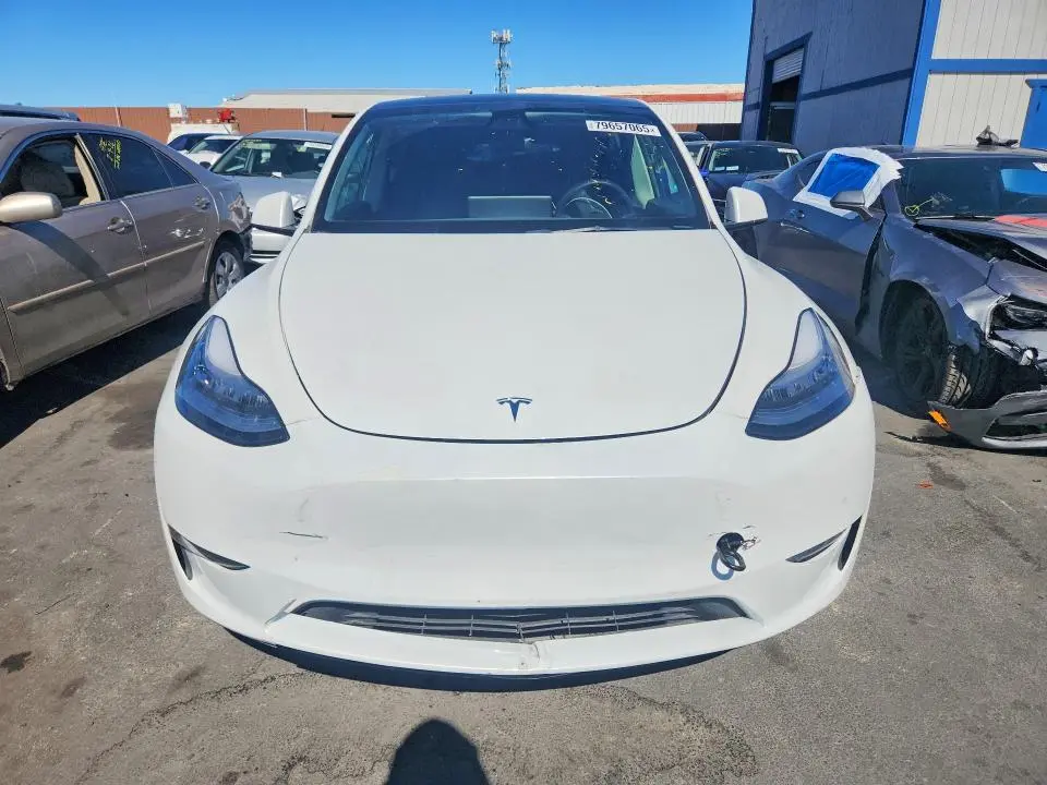 2021 TESLA MODEL Y   
