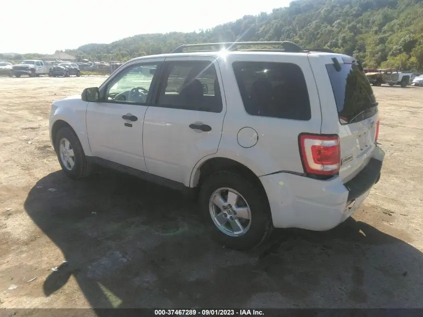 2011 FORD ESCAPE XLT
