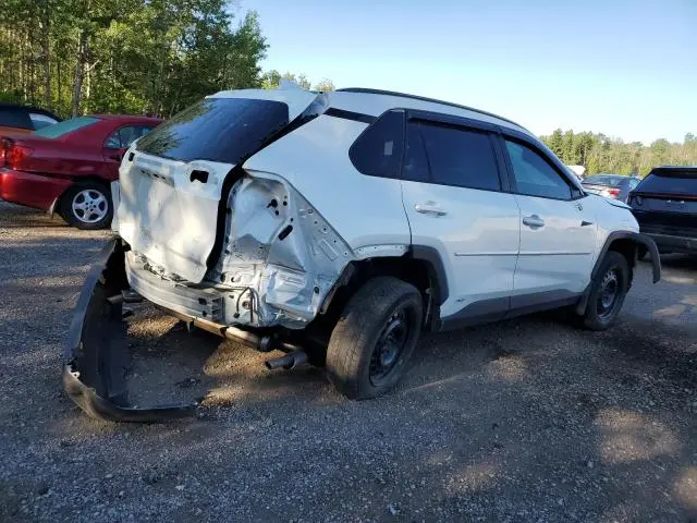 2023 TOYOTA RAV4 XLE  