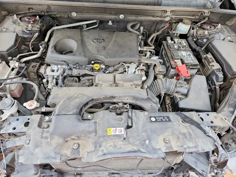 2019 TOYOTA RAV4 XLE  