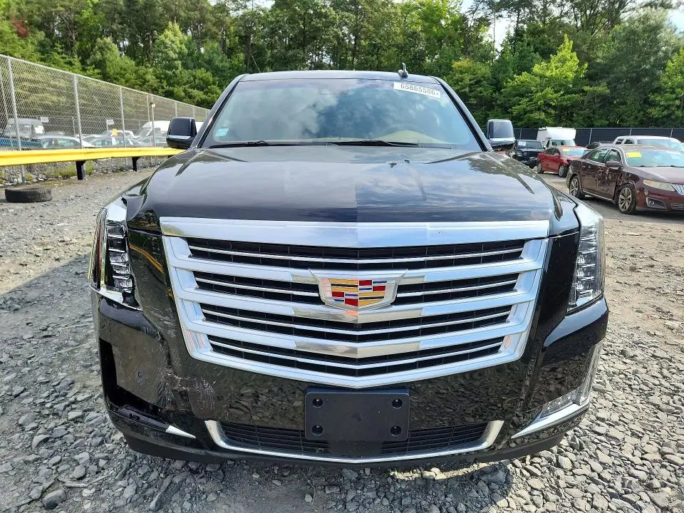 2019 CADILLAC ESCALADE ESV PLATINUM  
