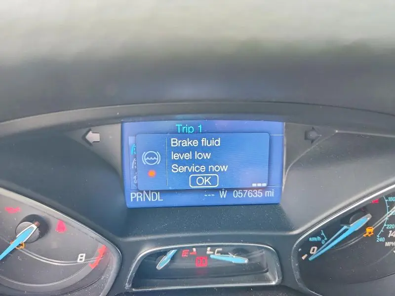 2013 FORD FOCUS SE  