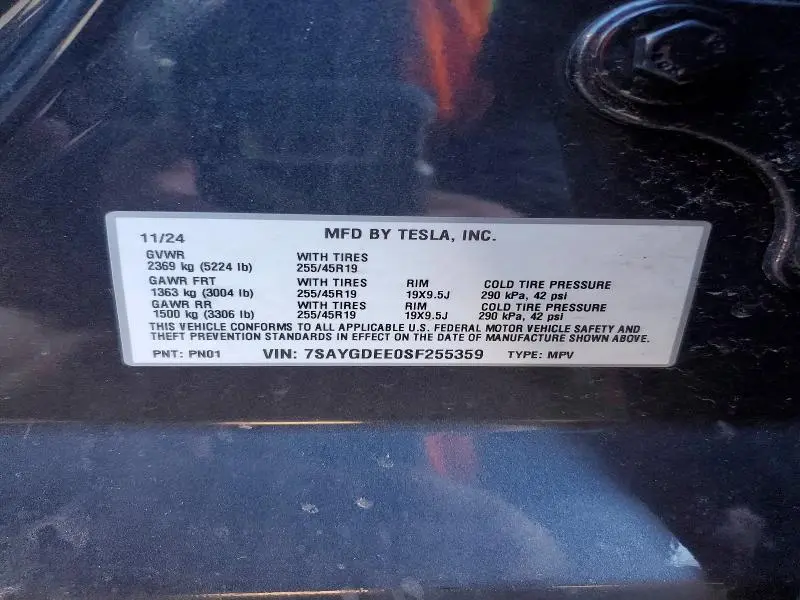 2025 TESLA MODEL Y   