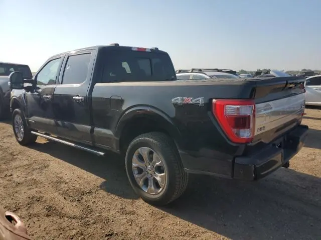 2023 FORD F150 SUPERCREW  