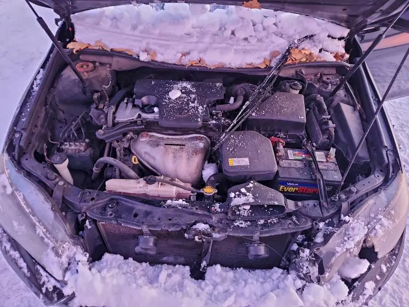 2015 TOYOTA CAMRY LE  